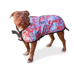 Capa Protetora Para Cachorro Estampada